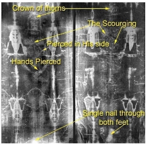 Shroud of Turin Notated