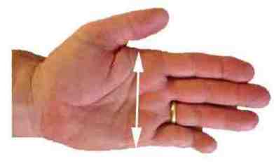 width of hand