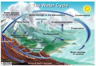 The Hydrologic Cycle